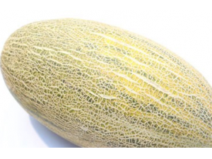 �ļ��Ŷ�������Ҫע��Щʲô ��Ҫ����������������ô��