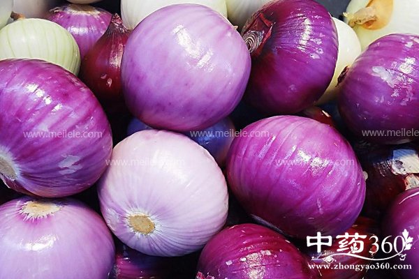 changchiyangcongdehaochu