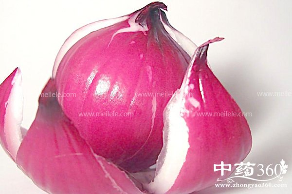 changchiyangcongdehaochu