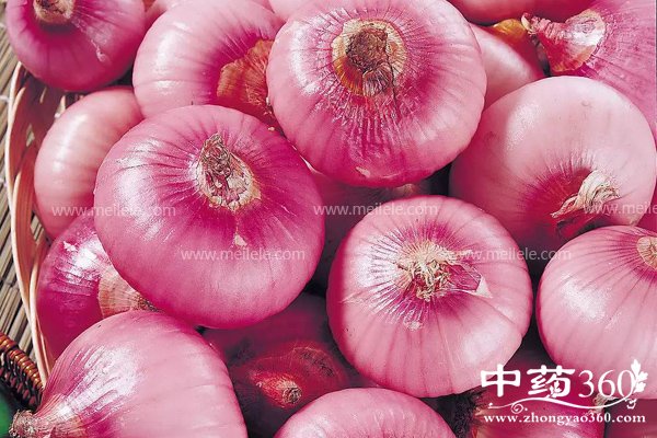 changchiyangcongdehaochu