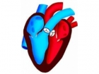 保护心脏健康要做到三点