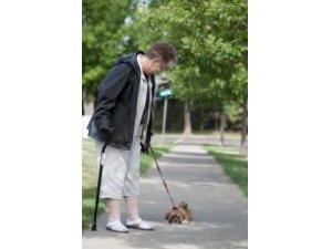 ����������Щ�� ��ɶ��ü���