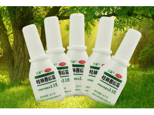 ����ϻ�������ô��_������Ч�Ľ��������