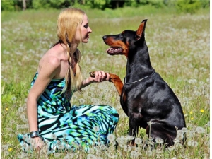 ���ѵĲ�Ѫ��Ч ���ѵ���������