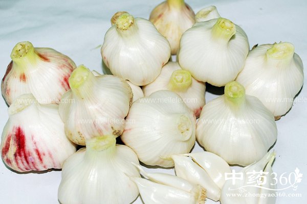 changchidasuandehaochu 