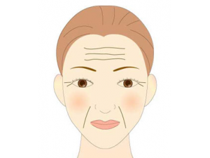 ������Ӧ�����Ӧ�� ��α���������������沿