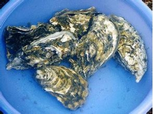 ӻ˥ϵķЩ ҽЩӻ˥ϵҩ