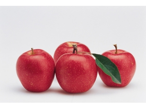 ��ð�˳�ʲôˮ����_��ð�˳Ե�ˮ���Ƽ���