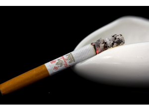 ���̵ĺô��뻵��_���س��̵���ȱ�㣡