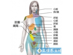 Ů���Ҳ���ʹ��ʲôԭ�� �������