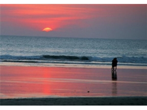 �и��ܳ��㸽�� �㸽��ʳ�Ʒ���