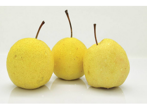 ��ð�����ϻ���ô��_��ð�����ϻ�����Чʳ�Ʒ���