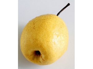 ������?��7��ˮ������������