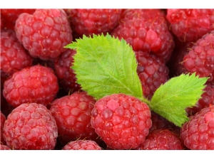 �����Ӻ���ݮ������ �������ݾƹ���