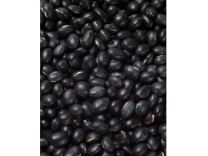 ��ʲô����?4��ʳ������������ɲ���