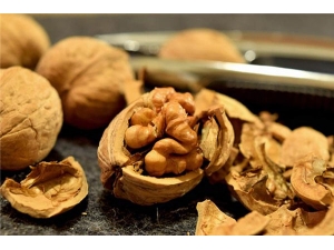 �����˳�ʲô����_�����˲������