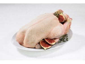 �и����Գ�Ѽ����_�и�����ʳ���䣡