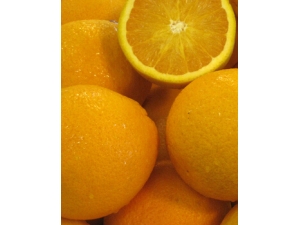 ����ʯ������Ʒ���?Ů�ԳԳȷ��ε���ʯ