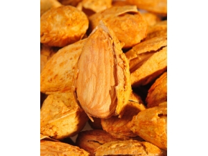 �͵�ľ�����ʵ�����?������ע����������Щ��