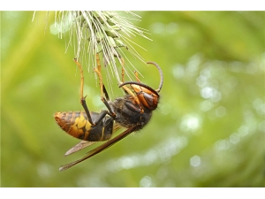 �ֱ��۷�������ô��_�������Ч�Ľ��ƫ����