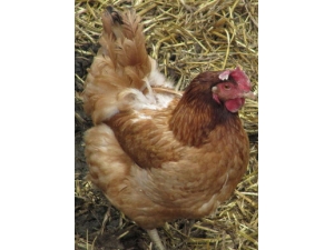 养生保健?六大日常误区伤身体