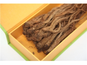 ����Ĺ�Ч ������ô��