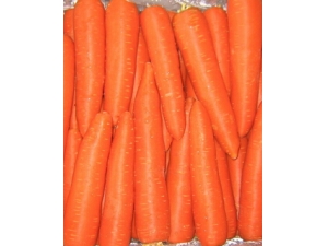 ����������ʳ��?8��ʳ�������������˲�