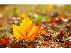 ��������Ҫע����ЩҪ�� ��������Ҫע��ʲô