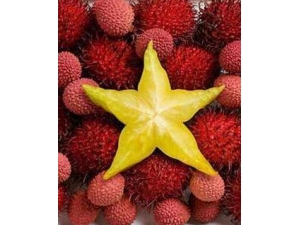 ��ë���Ĺ�Ч������?ʳ�ý���������Щ��