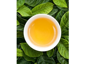 ���ֲ��˲�������?���跽��������Ҫ��