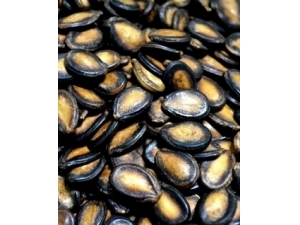 �������ܳ���?��������Ҫע��ʲô��