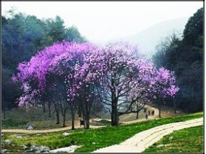 ���·�����Ҫע����Щ����  ��������֮��������