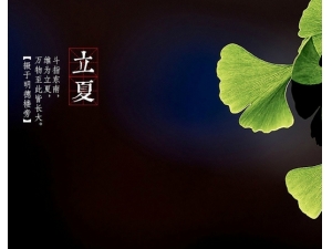 ���Ľ���������Ҫ�� ���Ľ�����ô������