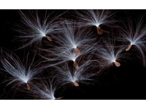 �ѹ�Ӣ����������� ���ѹ�Ӣ��������Ҫע��