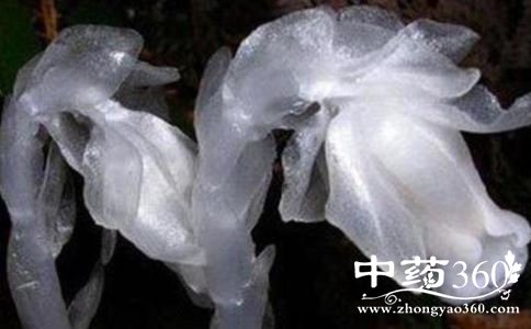 ڤ֮ʲô ڤ֮ ˮĹЧ