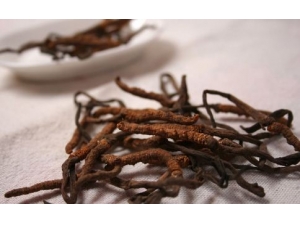 3���˲��˳Զ����Ĳ� �����ĲݵĹ�Ч������