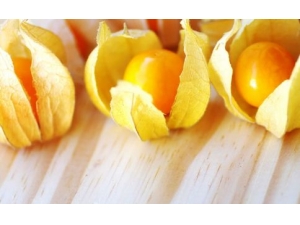 �������Ĺ�Ч������ �������и�������