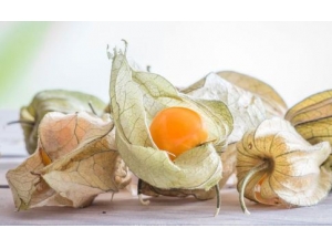 �������Ӫ����ֵ����Щ ������Ľ�������Щ