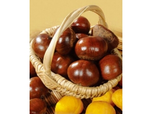 ������ʳ������Щ?�ļ�����10����ʳ��