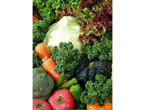 ���Ե�ʳ������Щ?ѧ����ǰ����ʳƷ