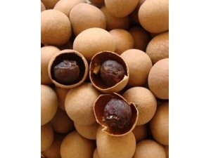 ������ע������?�����ӿ��Գ�ʲôˮ����