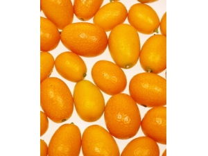 ��۵Ĺ�Ч������?СС��۷����������ٹ�