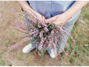 ��Ҷ������ ��Ҷ�ݽŵĺô�