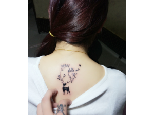 ��׵���ľ����ٴ���������Щ һ����������