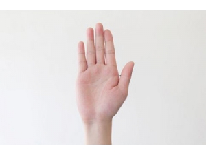 �������������7��Ѩλ ��֪����