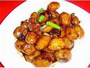 Ѭ��������Ӫ���� Ѭ�����������