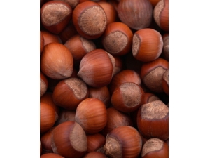 ������ʳ������Щ?���ּ�������˲�����