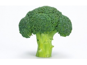 Ů��Ӧ�������� Ů��������ʲô