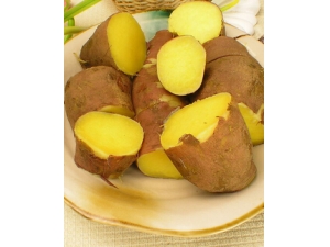 ���Խ�������?����׳������ʳ��Ҫ���