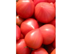 ���ݻ���С����?Ů�Լ���������ؾ�